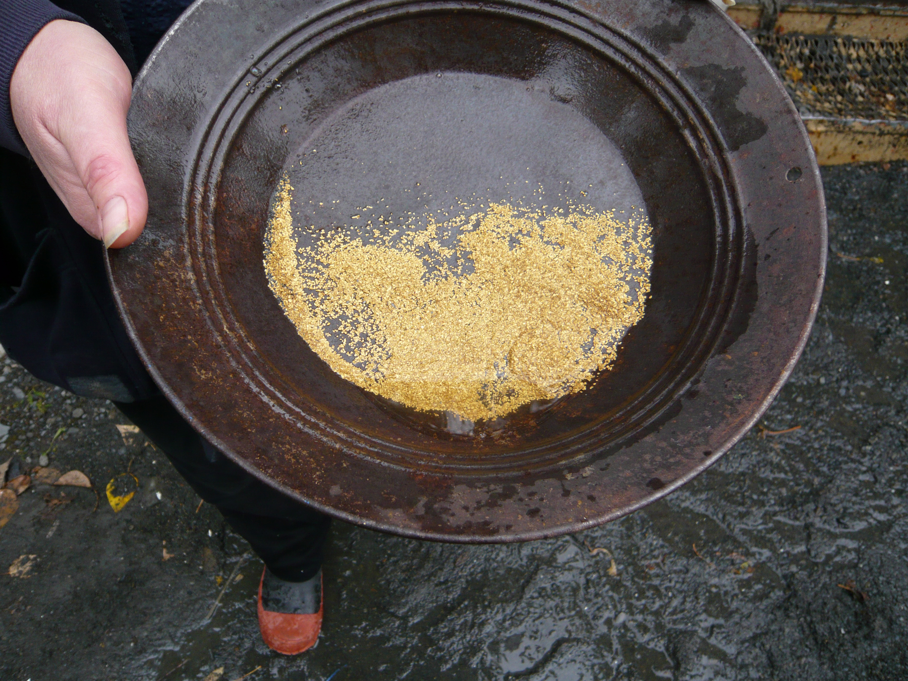 080920 Pan O_ Gold