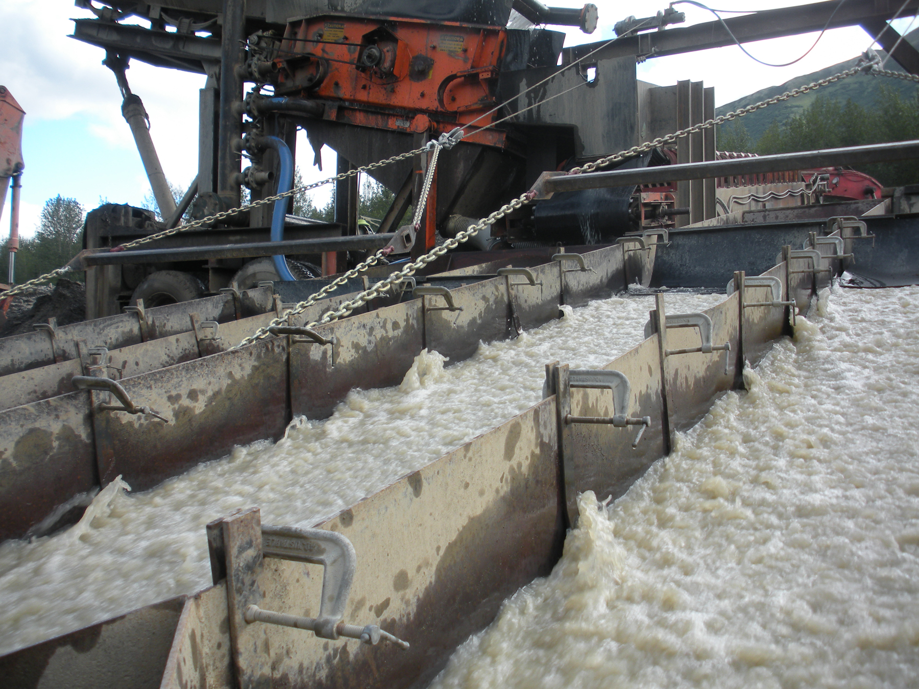 100808 Phillip_s Plant 1