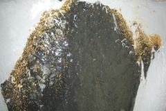 100704 Hope - Gold on the Slick Plate