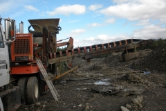 100808 Hope Phillip_s Plant 2