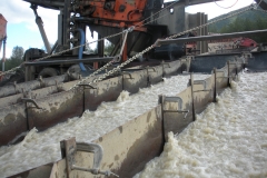 100808 Phillip_s Plant 1