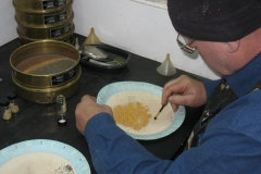 101030 Mike Cleaning Gold